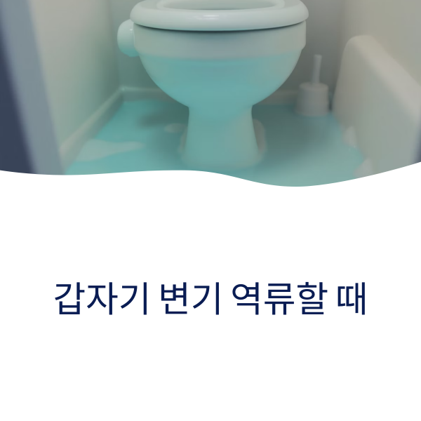 변기 역류할 때