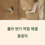 콜라 변기 막힘
