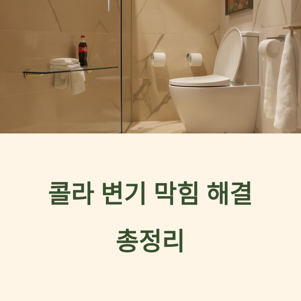 콜라 변기 막힘