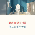 굵은 똥 변기 막힘