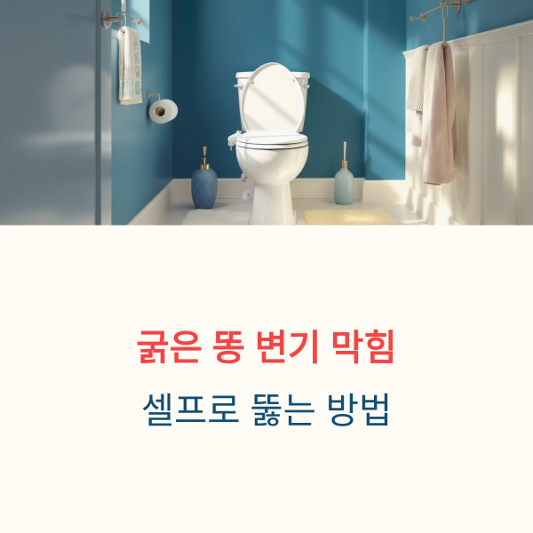 굵은 똥 변기 막힘