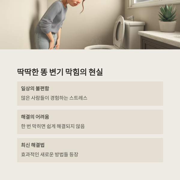 딱딱한 똥 변기 막힘