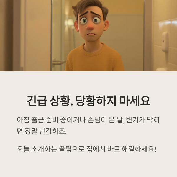 변기 막혔을때 꿀팁