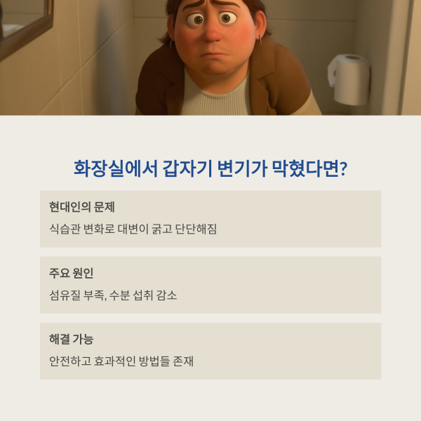 똥이 커서 변기 막힘
